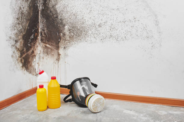 Best Office Mold Removal Services  in Keyes, CA