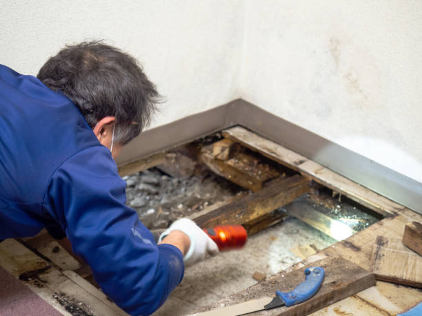 Best Crawl Space Mold Removal  in Keyes, CA