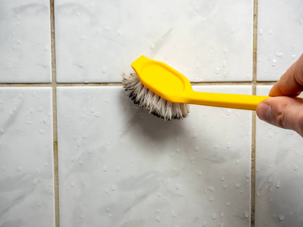 Best Fast Mold Removal  in Keyes, CA