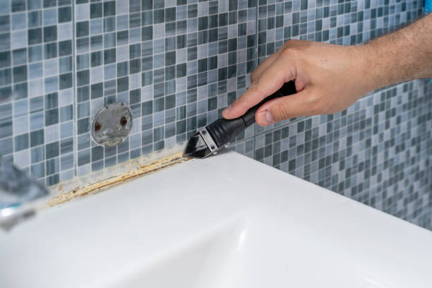 Best Mold Cleaning Services  in Keyes, CA